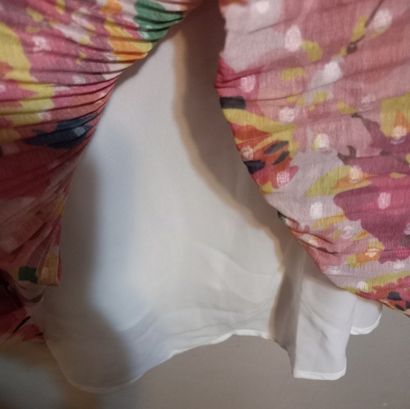 𝅺NWT Anthropolgie Foxidox Floral Accordian Pleated Dress - Picture 5 of 14